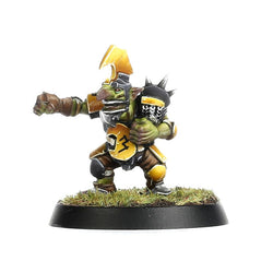 Blood Bowl: Goblin Team - Scarcrag Snivellers