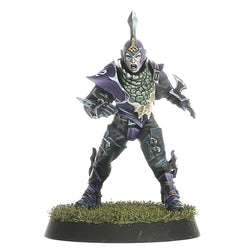 Blood Bowl: Dark Elf Team - Nagaroth Nightmares