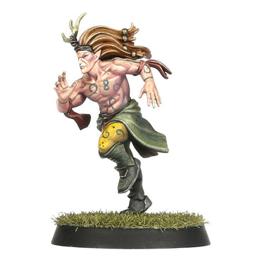 Blood Bowl - Wood Elf Team