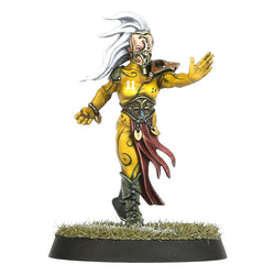 Blood Bowl - Wood Elf Team