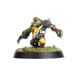 Blood Bowl: Goblin Team - Scarcrag Snivellers