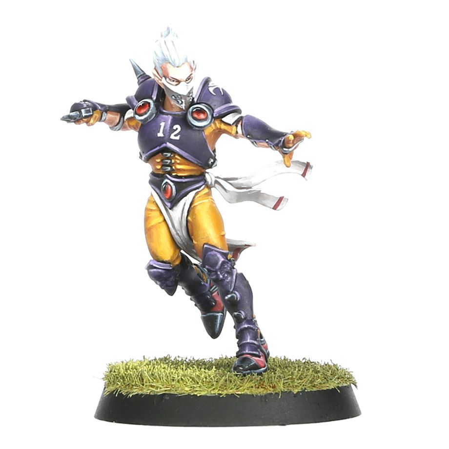 Blood Bowl: Elven Union Team - Elfheim Eagles