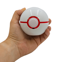 Pokémon Trainer Guess: Sinnoh Edition