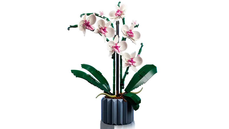 Lego: Botanical Collection - Orchid