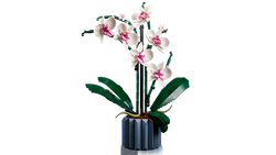 Lego: Botanical Collection - Orchid