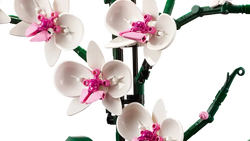Lego: Botanical Collection - Orchid