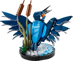 Lego: Icons - Kingfisher