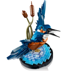 Lego: Icons - Kingfisher