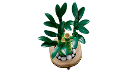 Lego: Botanicals - Lucky Bamboo