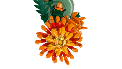 Lego: Botanical Collection - Chrysanthemum Flowers