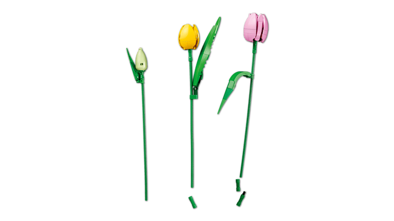Lego: Botanicals - Tulip Bouquet