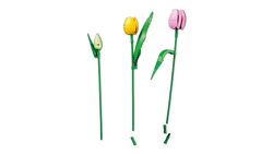 Lego: Botanicals - Tulip Bouquet