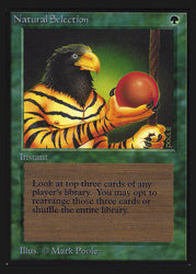 Natural Selection [International Collectors' Edition]