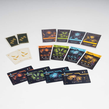 IV Studio: Promo Pack - 2025