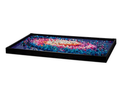 Lego: The Milky Way Galaxy