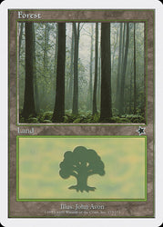 Forest (173) [Starter 1999]