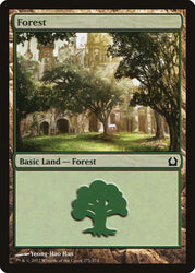 Forest (271) [Return to Ravnica]