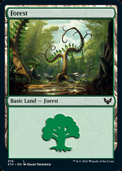 Forest (374) [Strixhaven: School of Mages]
