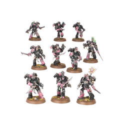 Warhammer 40K: Emperor's Children Army Set