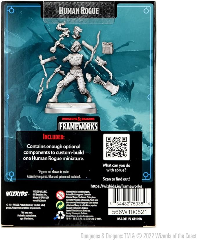 D&D Frameworks: Human Rogue Female (W1)