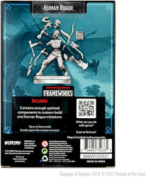 D&D Frameworks: Human Rogue Female (W1)