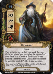 The Lord of The Rings: The Fellowship of the Ring Saga Expansion