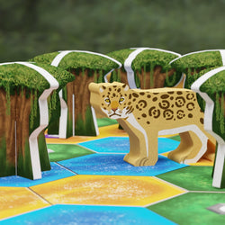 Life Of The Amazonia