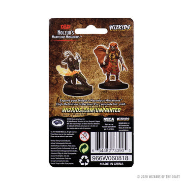 D&D Nolzur's Marvelous Miniatures: Male Human Druid