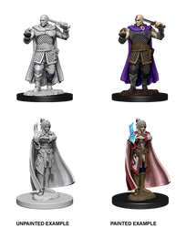 D&D Nolzur's Marvelous Miniatures: Human Ranger & Moon Elf Sorcerer