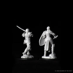 D&D Nolzur's Marvelous Miniatures: Human Fighter Female