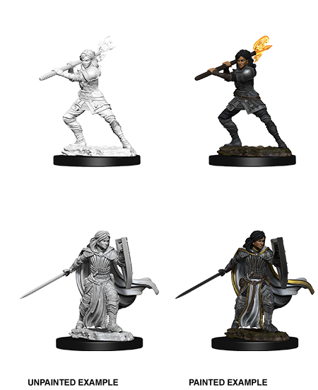 D&D Nolzur's Marvelous Miniatures: Human Paladin Female