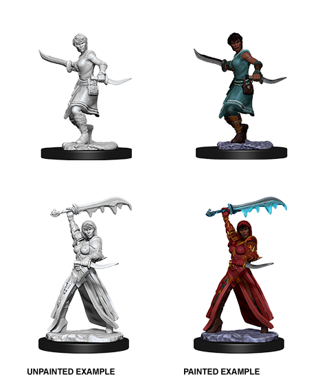 D&D Nolzur's Marvelous Miniatures: Human Rogue Female