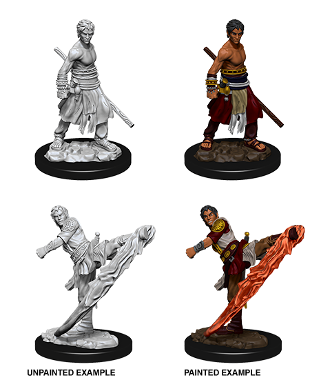 D&D Nolzur's Marvelous Miniatures: Male Half-Elf Monk