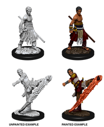 D&D Nolzur's Marvelous Miniatures: Male Half-Elf Monk