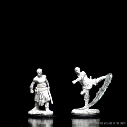 D&D Nolzur's Marvelous Miniatures: Male Half-Elf Monk