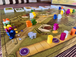 Viticulture: Essential Edition