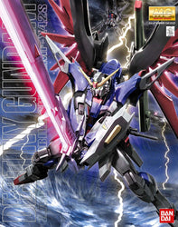 Gunpla: MG 1/100 Destiny Gundam (2005042)
