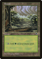 Forest (Sky Visible Top Right) [Tempest]