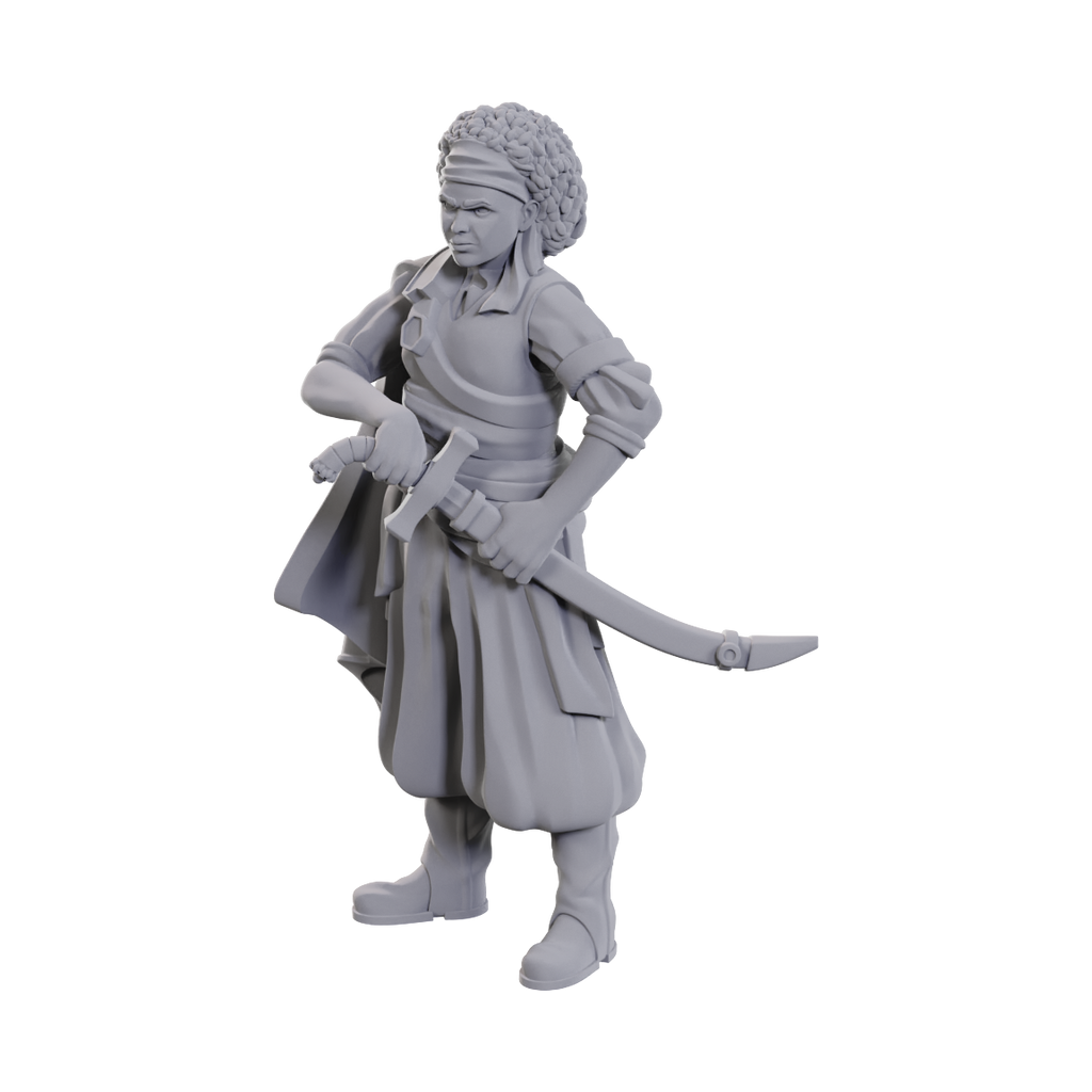 D&D Nolzur's Marvelous Miniatures: Ansalon Human Rogue