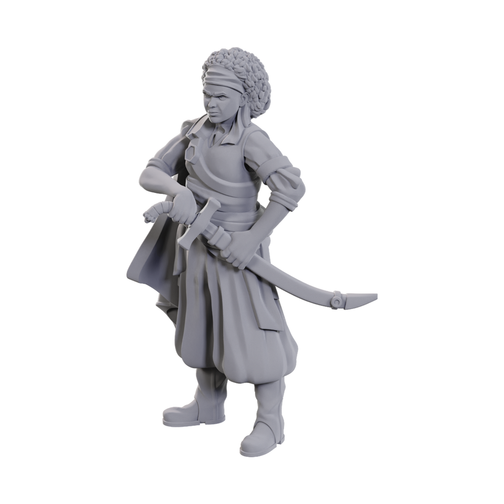 D&D Nolzur's Marvelous Miniatures: Ansalon Human Rogue