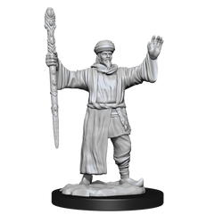 D&D Nolzur's Marvelous Miniatures: Human Wizard Male