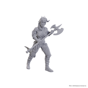 D&D Nolzur's Marvelous Miniatures Baldur's Gate 3 - Wyll & Karlach