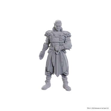 D&D Nolzur's Marvelous Miniatures: Special Edition Baldur's Gate 3 - Jaheira & Halsin