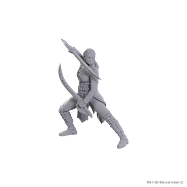D&D Nolzur's Marvelous Miniatures: Special Edition Baldur's Gate 3 - Jaheira & Halsin