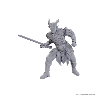 D&D Nolzur's Marvelous Miniatures: Special Edition Baldur's Gate 3 - Ulder Ravenguard & Zevlor