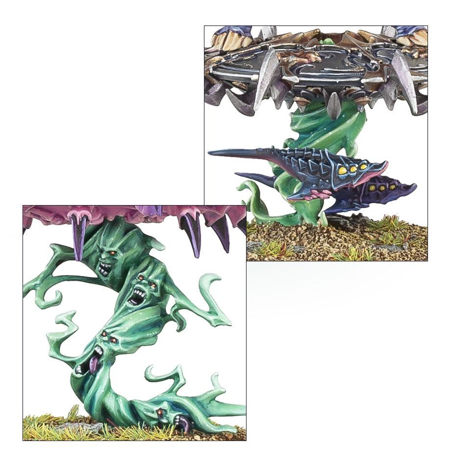 Warhammer Age of Sigmar: Disciples Of Tzeentch - Tzaangor Enlightened