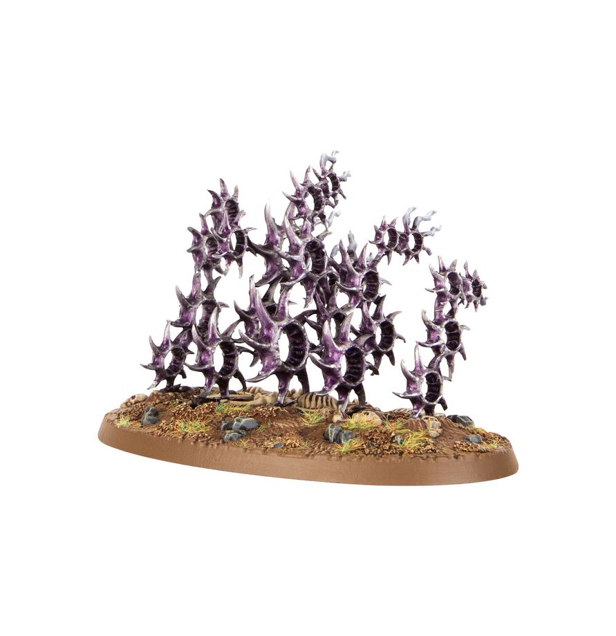Warhammer Age Of Sigmar: Hedonites Of Slaanesh - Accursed Reflection