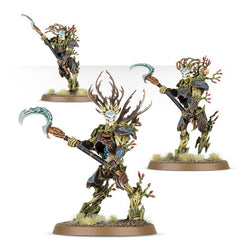 Warhammer Age of Sigmar: Sylvaneth - Strongroot Grove