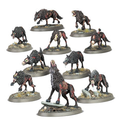 Warhammer Age of Sigmar: Soulblight Gravelords - Dire Wolves