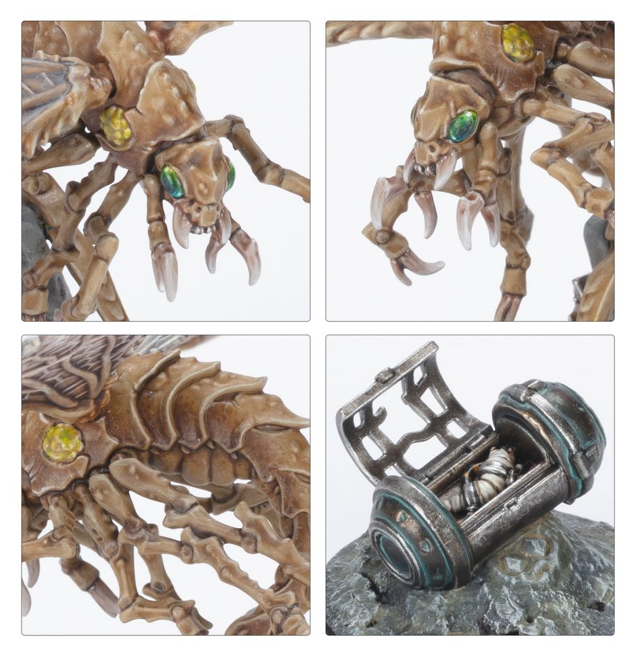 Necromunda: Ash Waste Nomads - Ashwing Helamites
